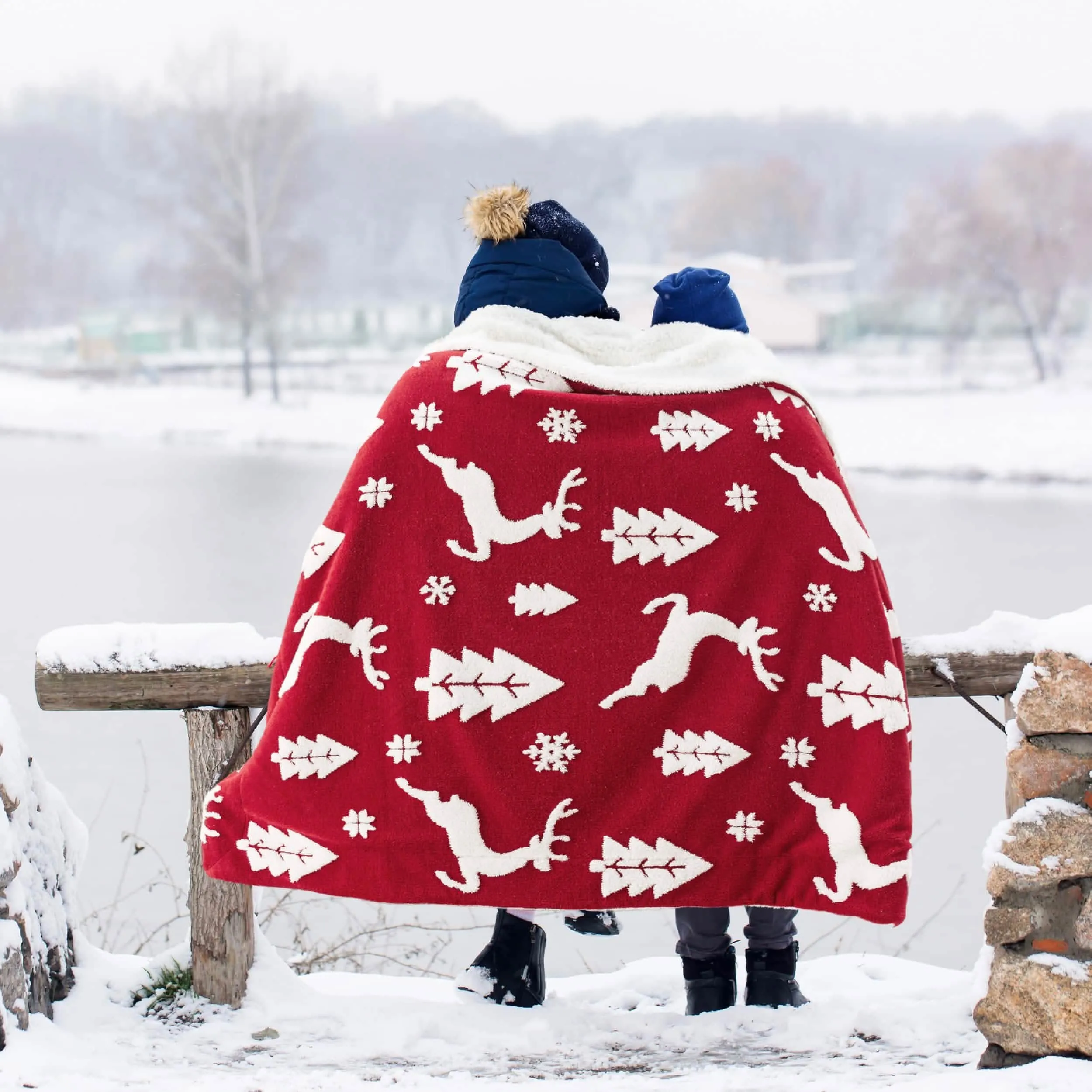 Bedsure Christmas Elk Red Sherpa Throw Blanket