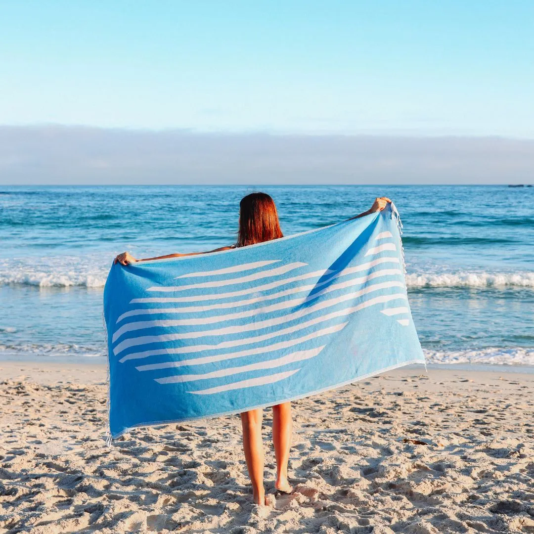 Blue Stripes