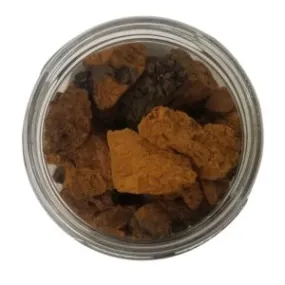 Chaga Mushroom Chunks Dried