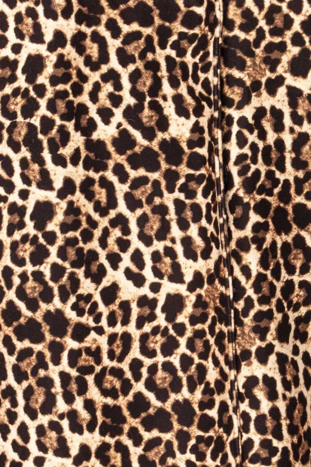 Kilkis | Leopard Print Trench Coat